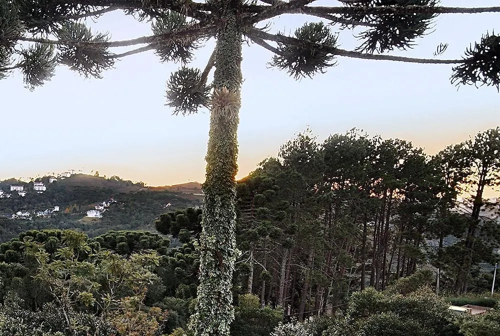 Pousada Recanto Das Araucarias Campos do Jordao Brazil