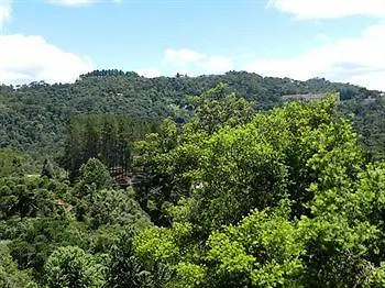 Pousada Recanto Das Araucarias Campos do Jordao Guest house