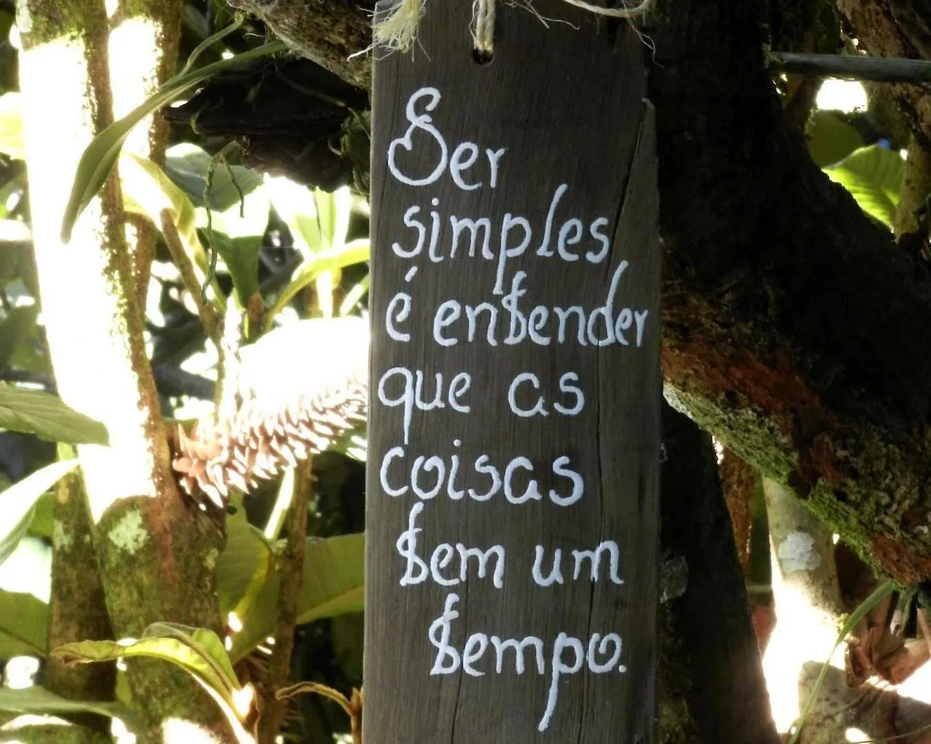 Pousada Recanto Das Araucarias Campos do Jordao Brazil