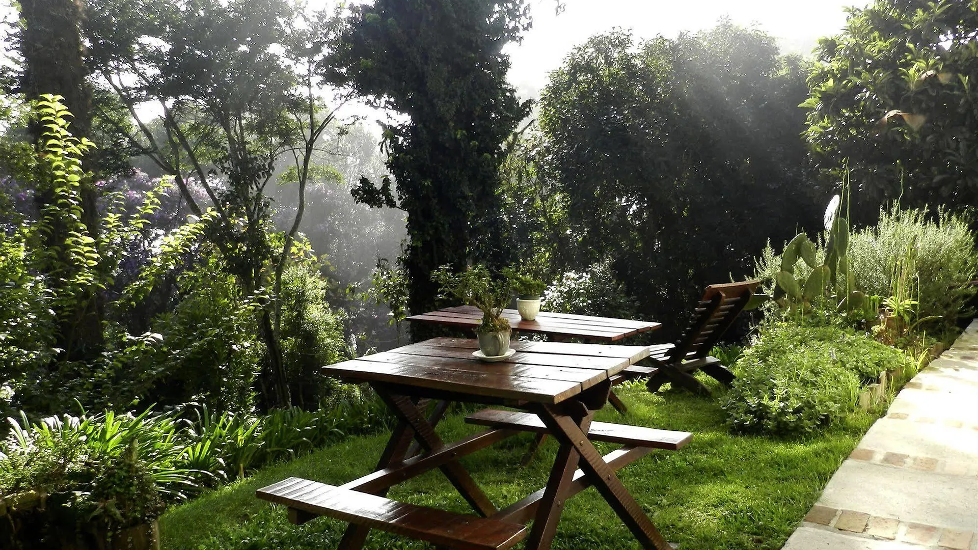 Guest house Pousada Recanto Das Araucarias Campos do Jordao