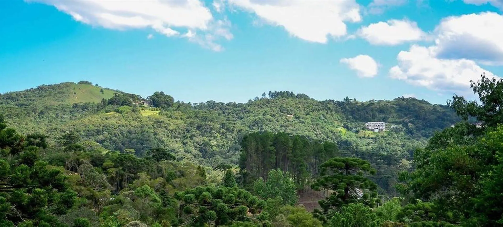 Pousada Recanto Das Araucarias Campos do Jordao 2*,