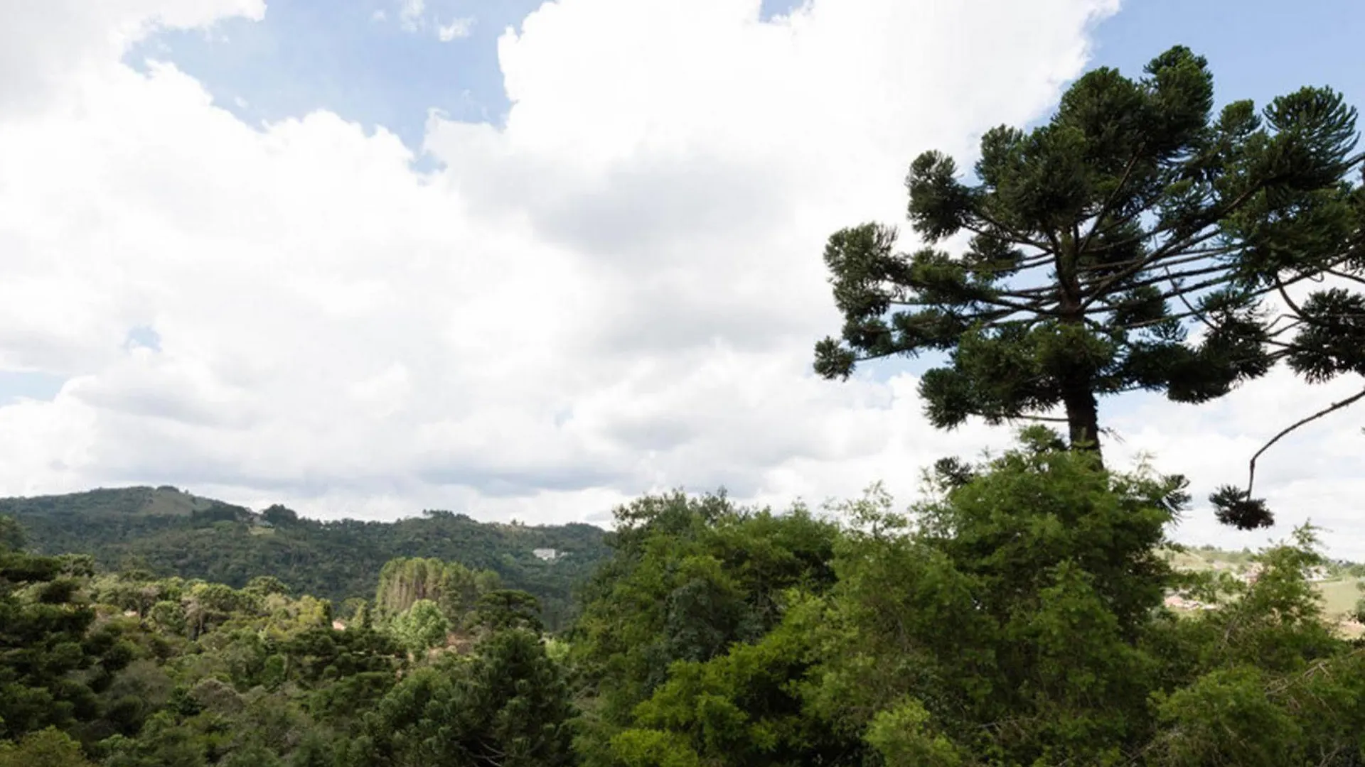 بيت ضيافة Pousada Recanto Das Araucarias Campos do Jordão